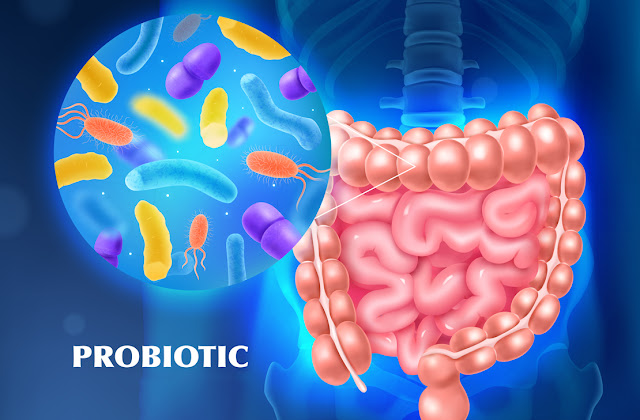 Probiotics and their importance